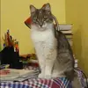 Отзыв от Лариса Кошелева